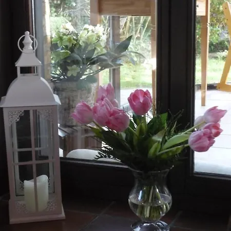 Les Pensees Braine-lʼAlleud