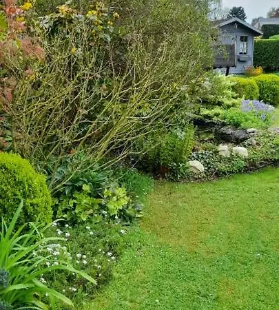 Couette-café Les Pensees Braine-lʼAlleud